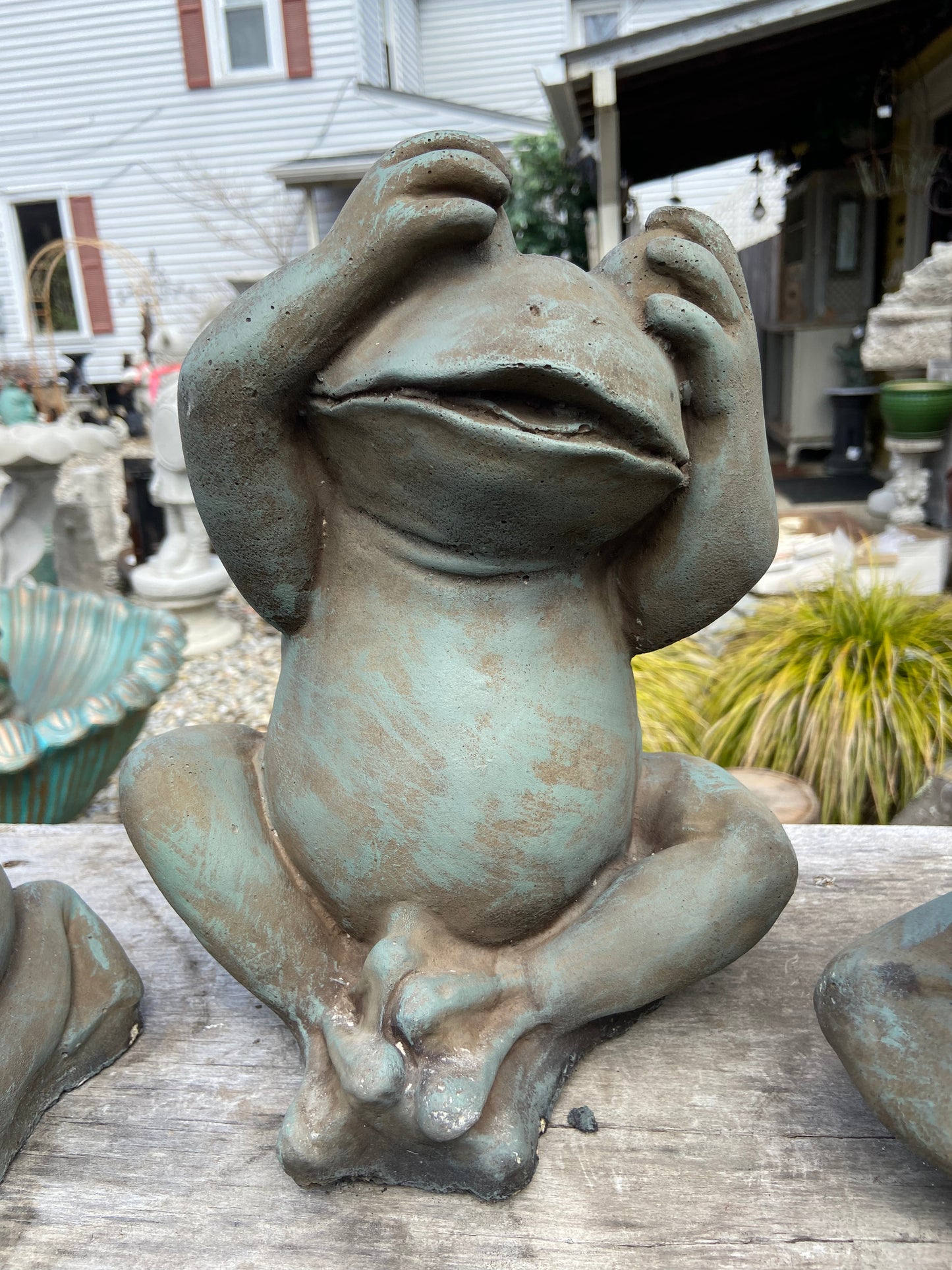 Frog: See No Evil