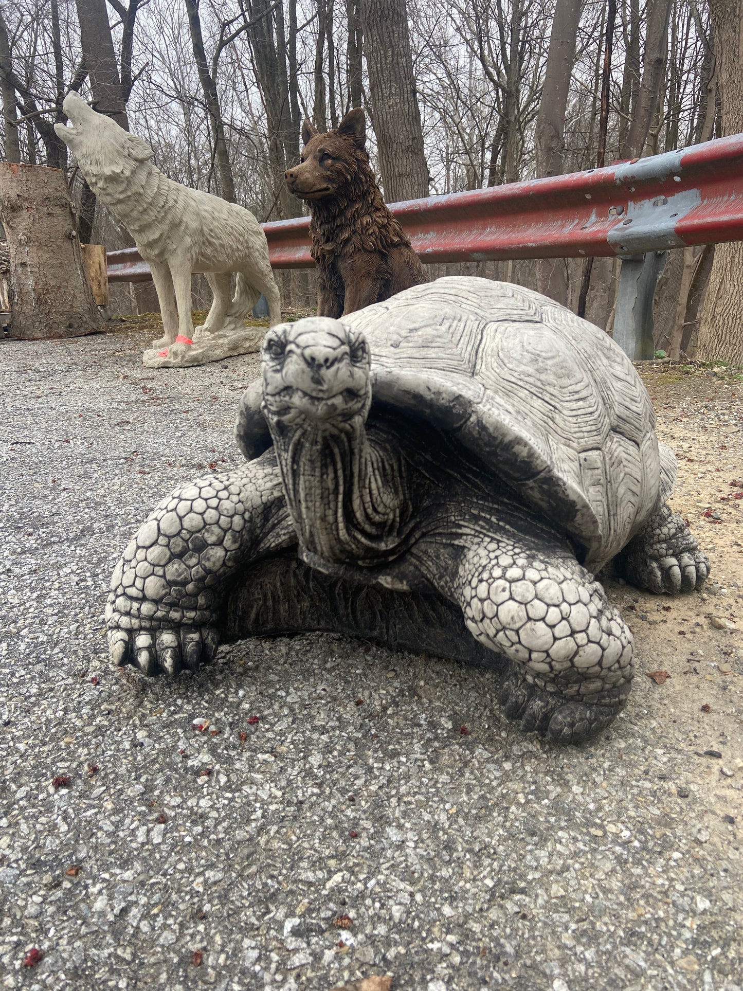 Large Walking Tortoise