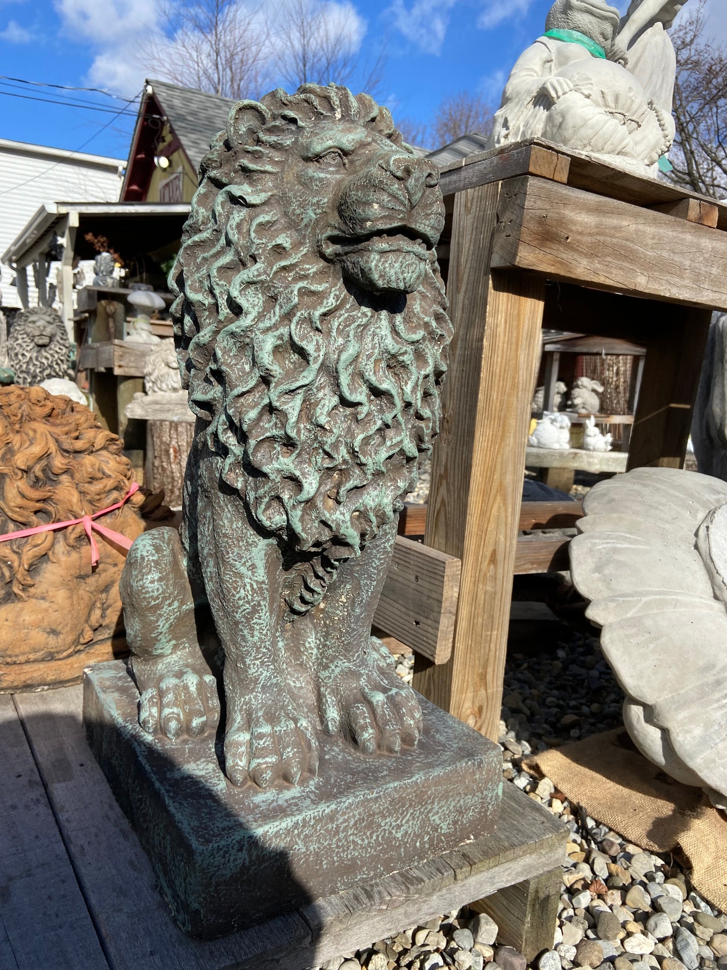 Sitting Lion