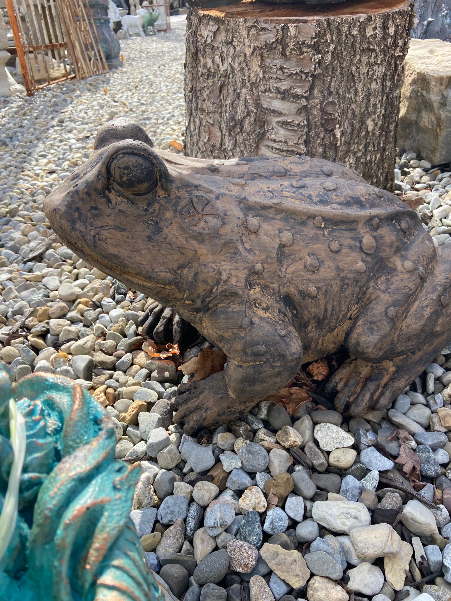 Large Toad