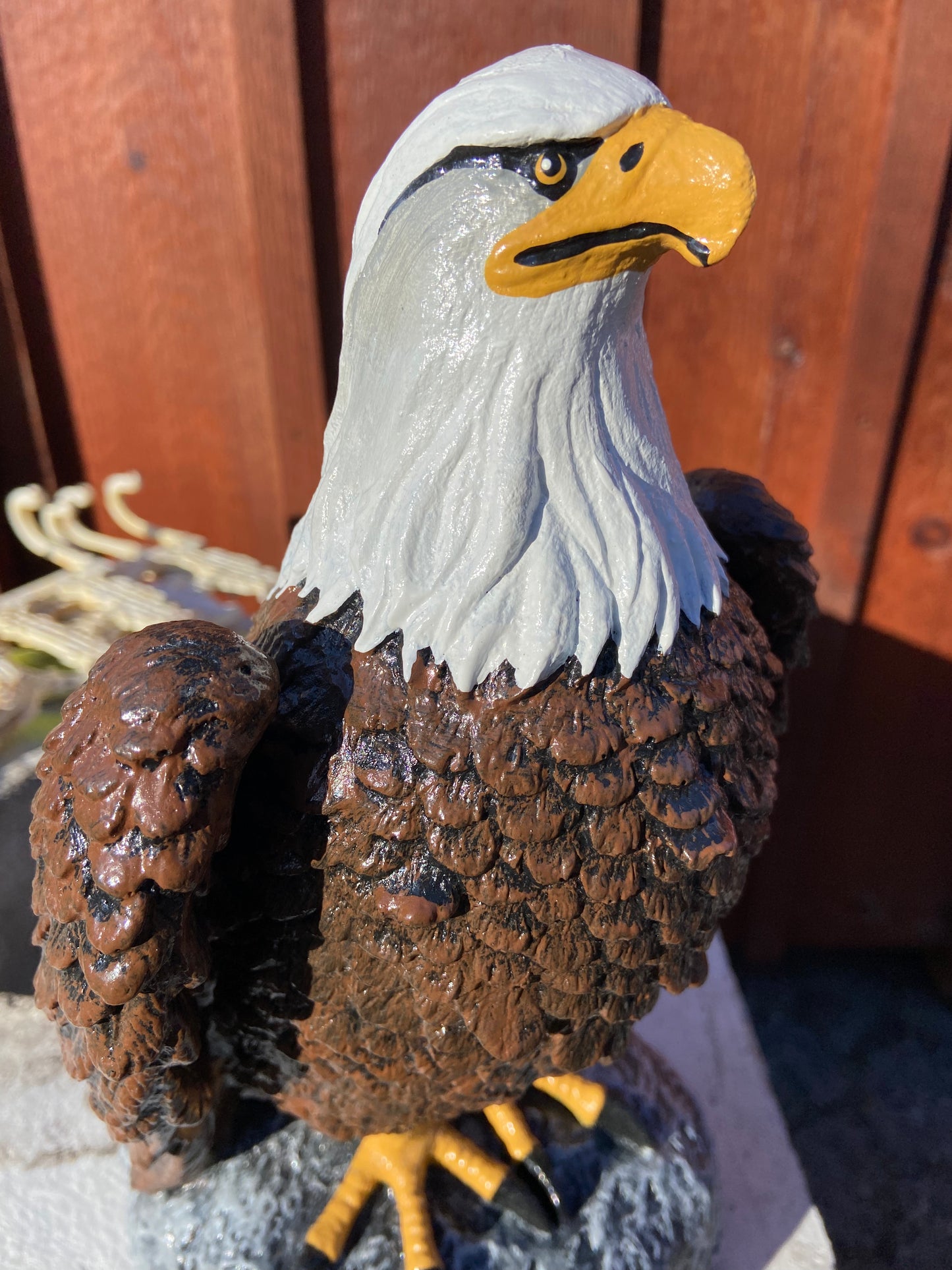Sitting Eagle