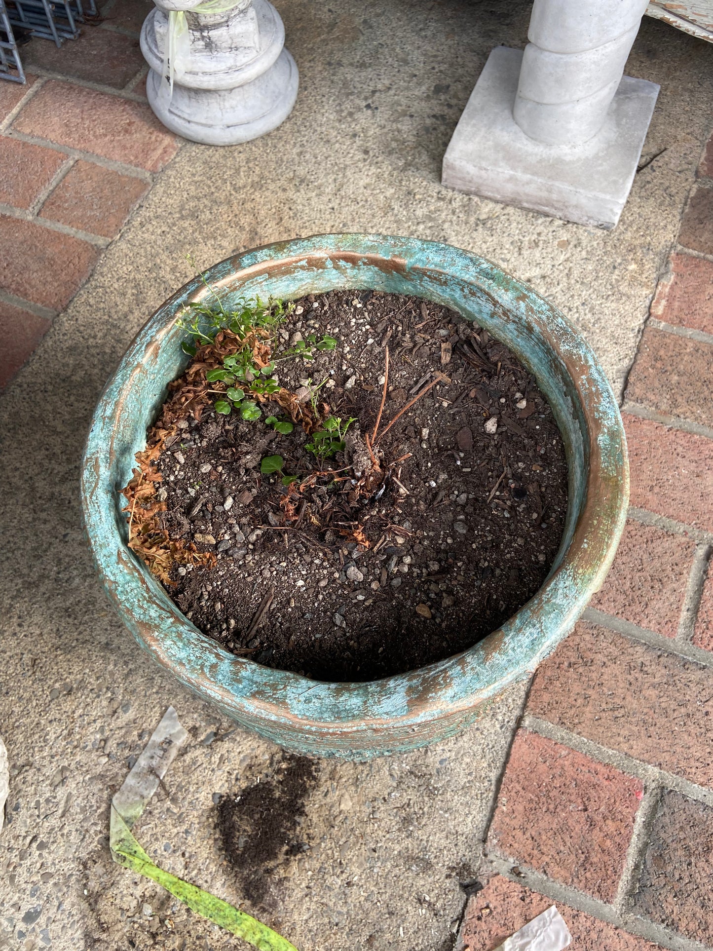Birch Planter