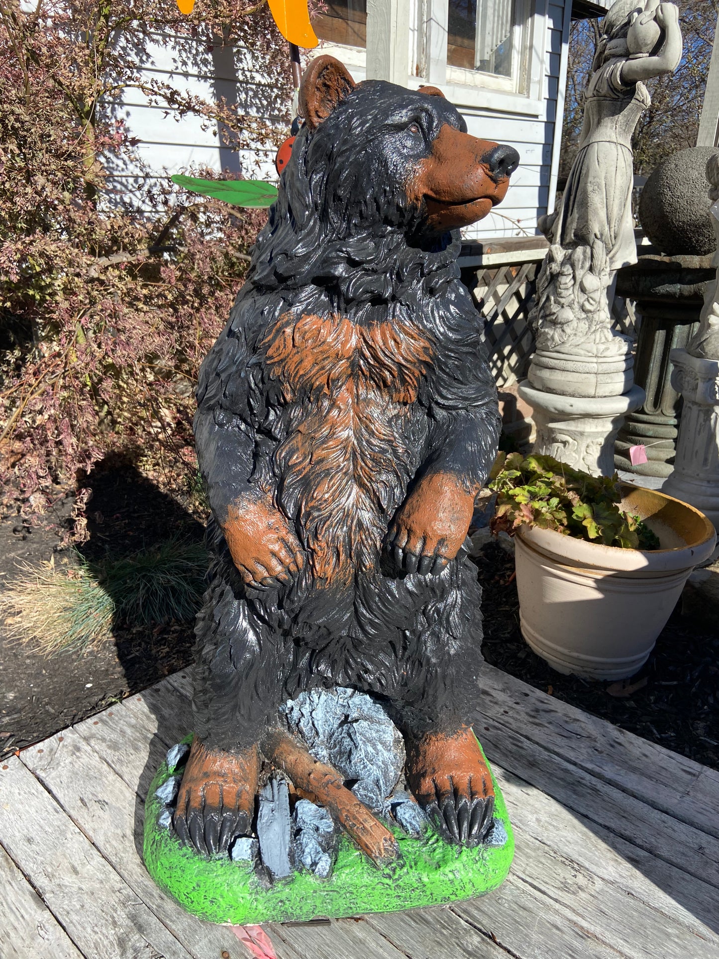 Gentle Ben