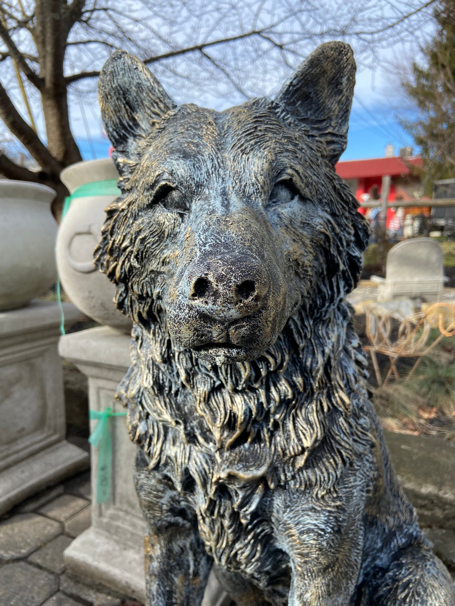 Sitting Wolf