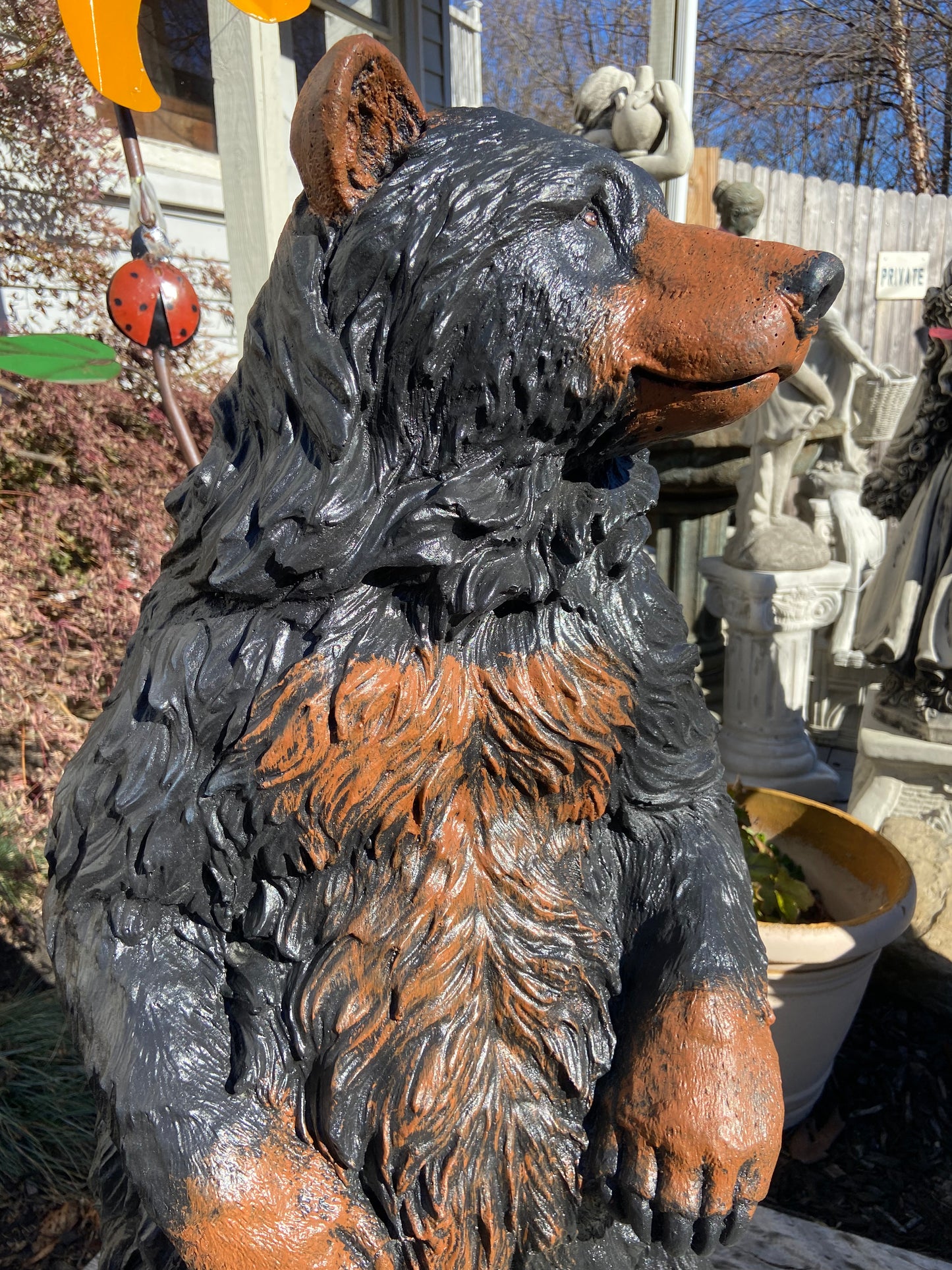 Gentle Ben