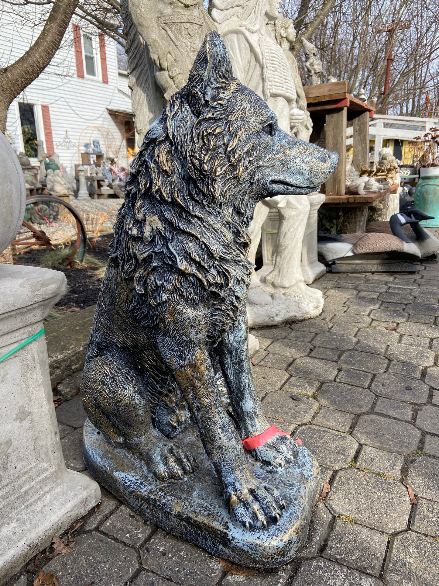 Sitting Wolf