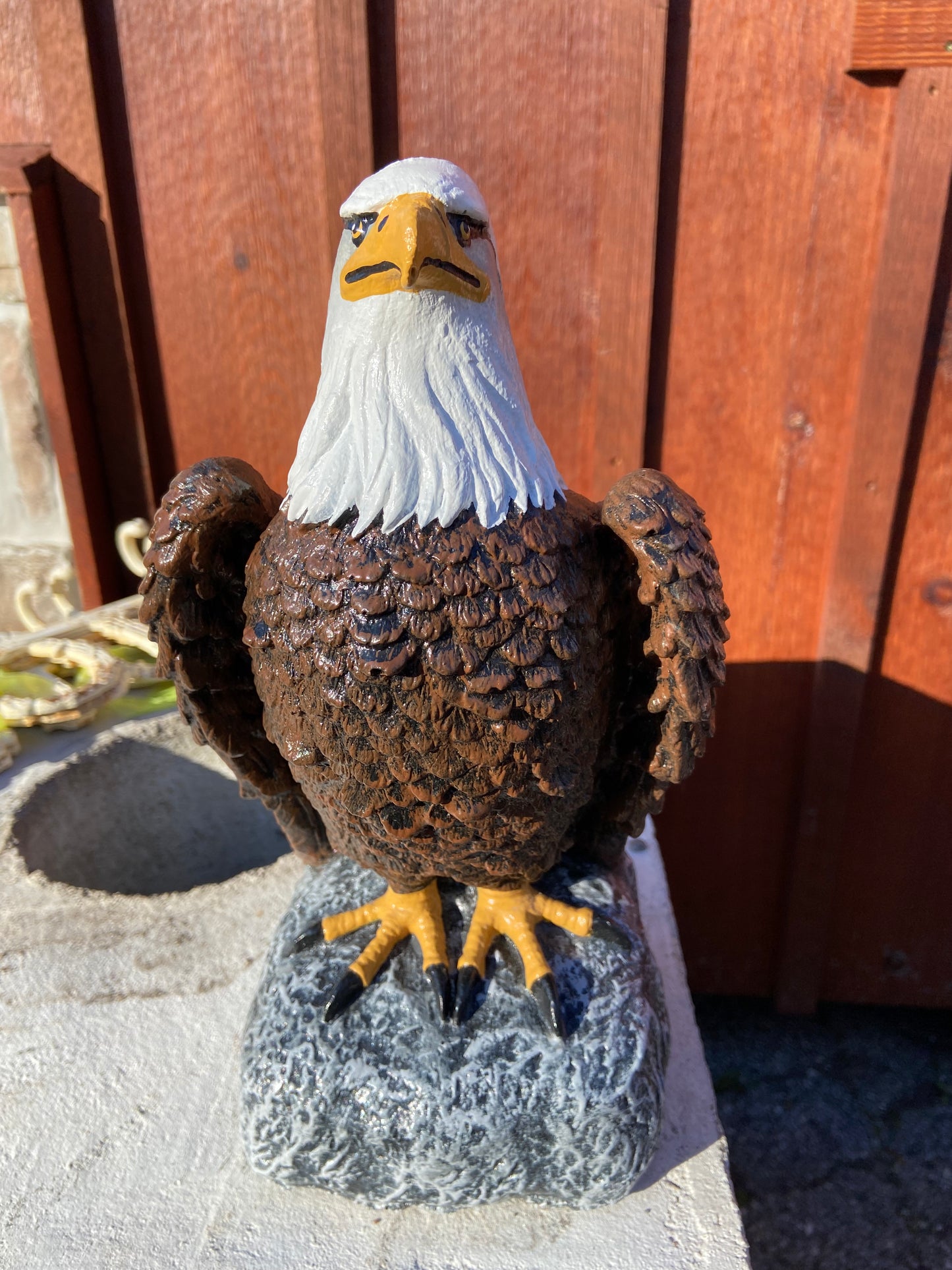 Sitting Eagle