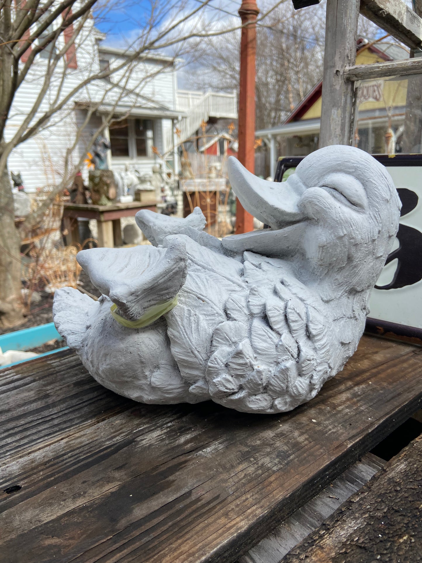 Laughing Duck Down