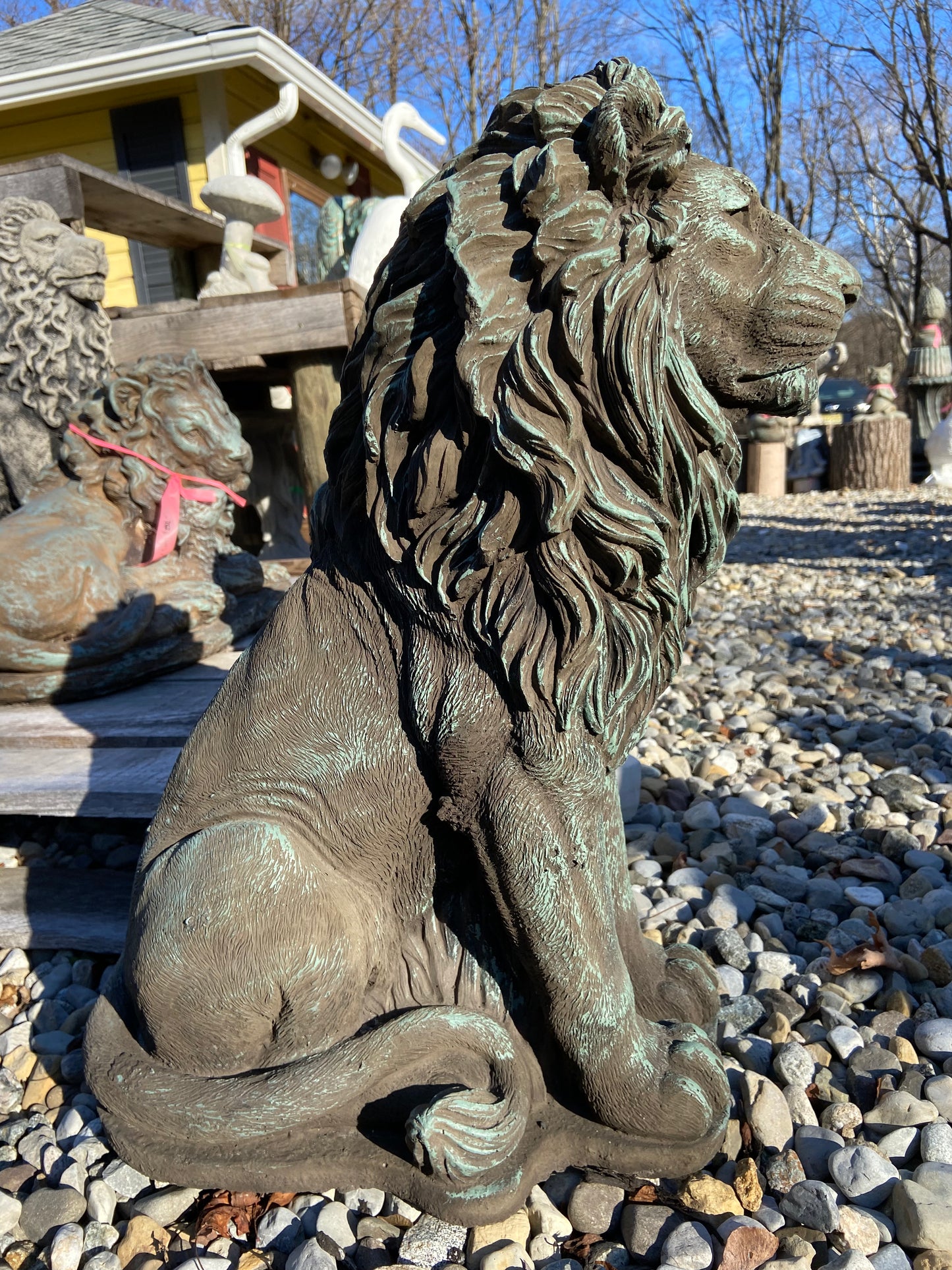 Gatekeeper Lion