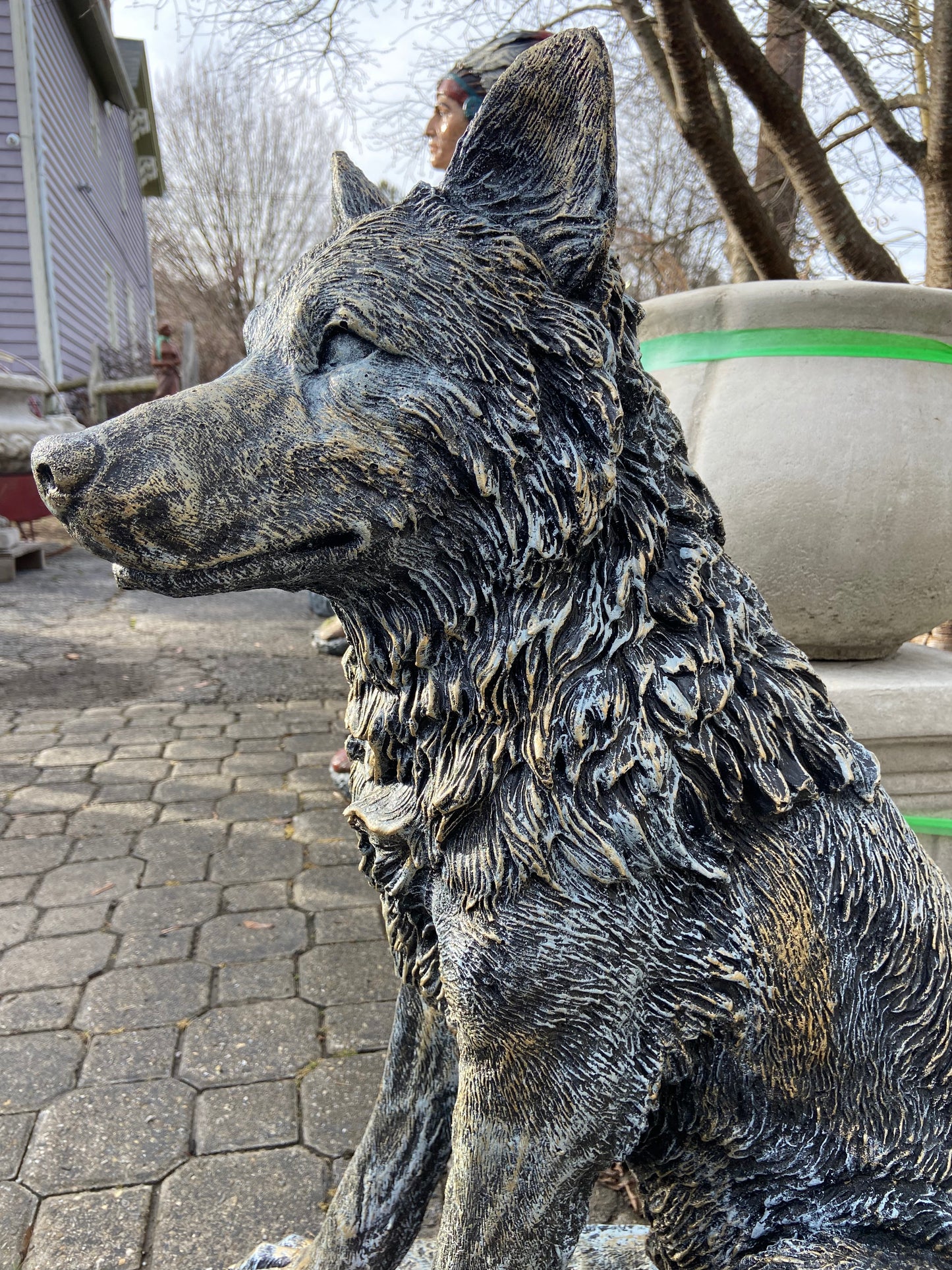 Sitting Wolf