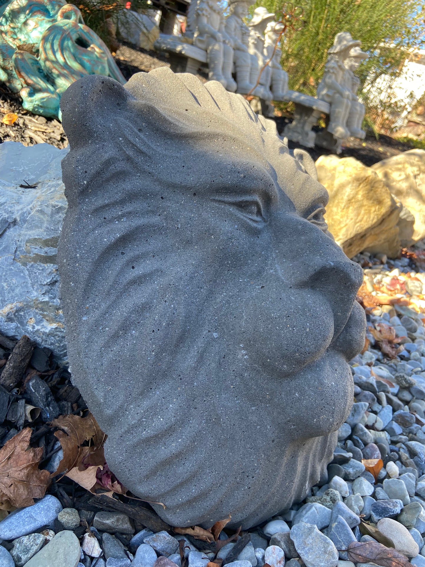 Lion Face