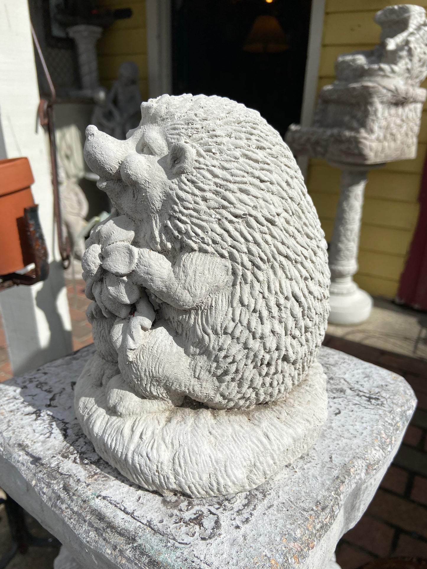 Hedgehog with Flower