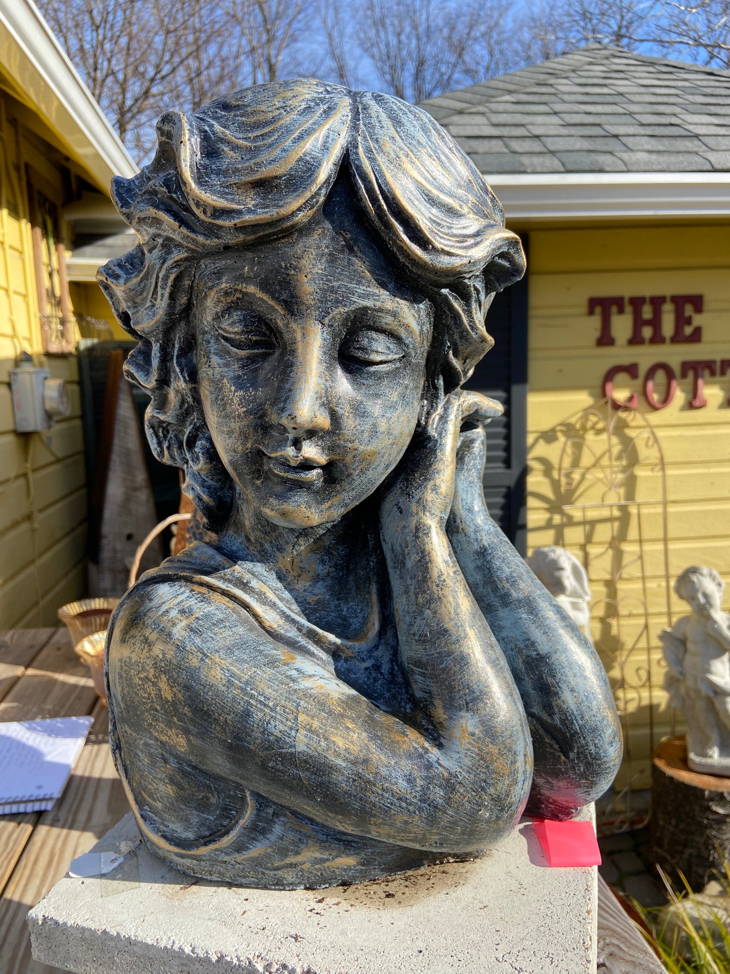 Bashful Pothead Planter