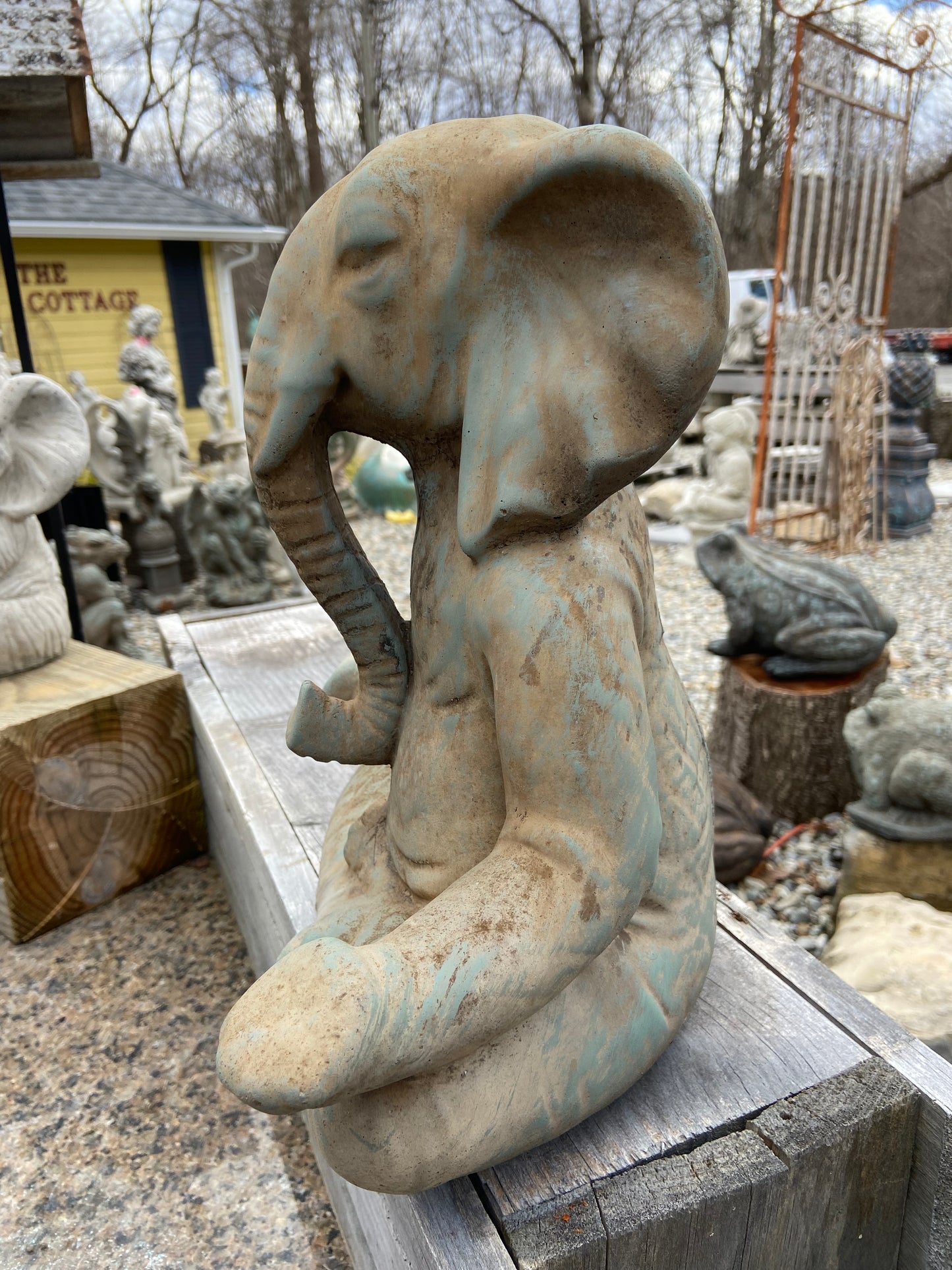 Zen Elephant