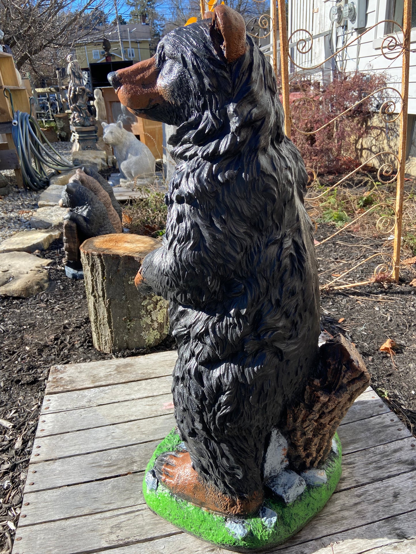 Gentle Ben