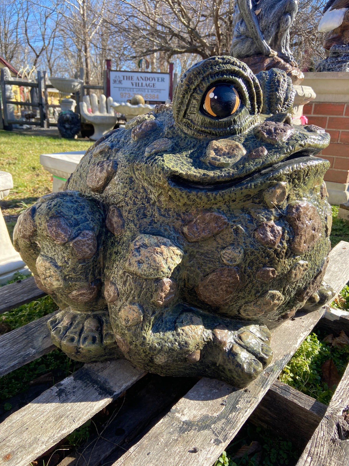 Extra Large Spotted Toad – Ziegler's Statuary