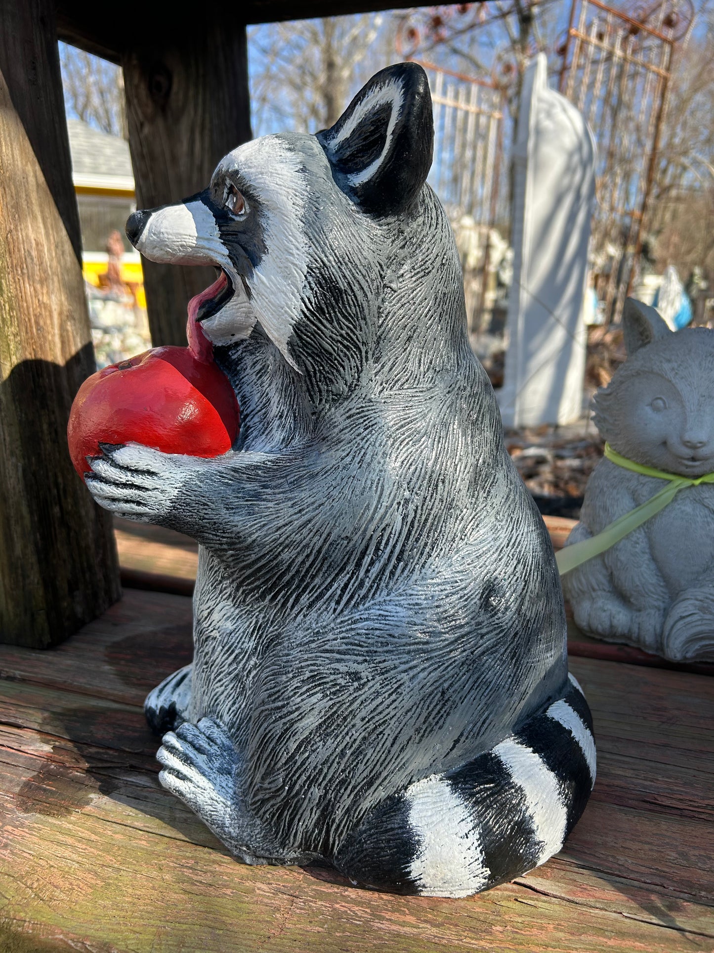 Raccoon with Apple