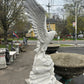 Large Eagle on Rock
