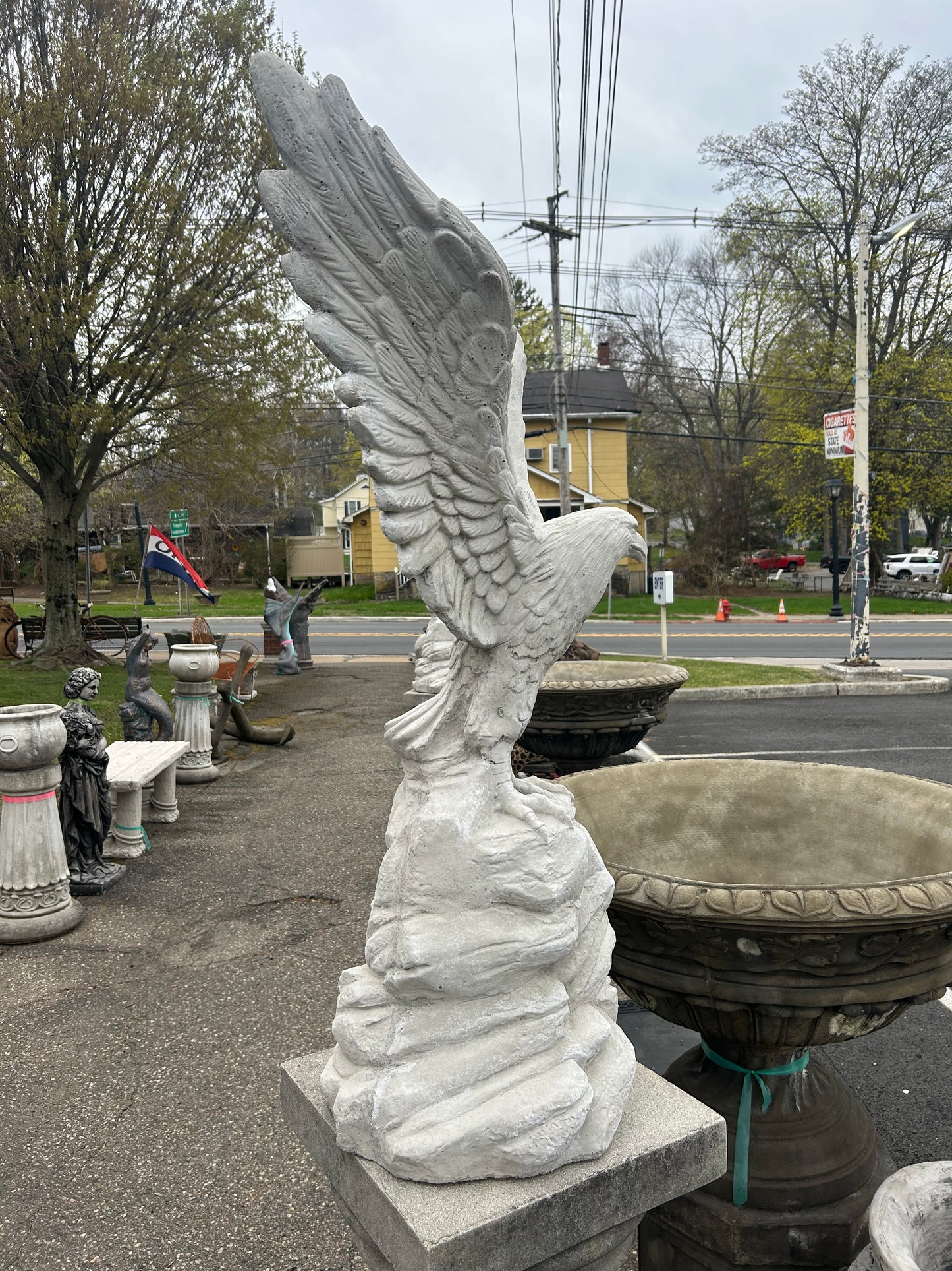 Large Eagle on Rock