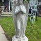 Rose Angel