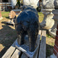 Large Happy Walking Bear