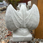 Smooth Winged Gargoyle