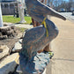 Gus (pelican)