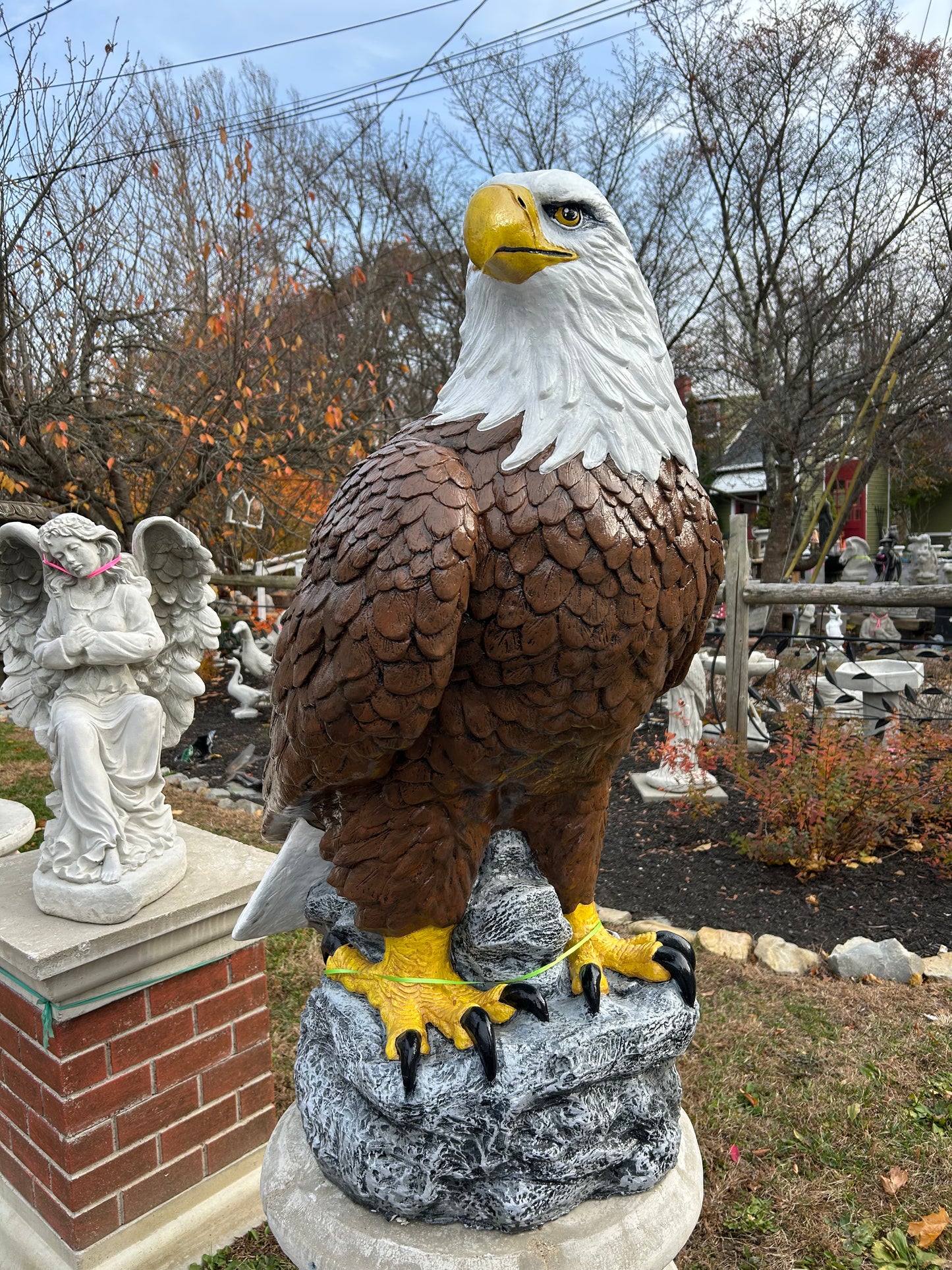 X-Large Eagle Wings Down