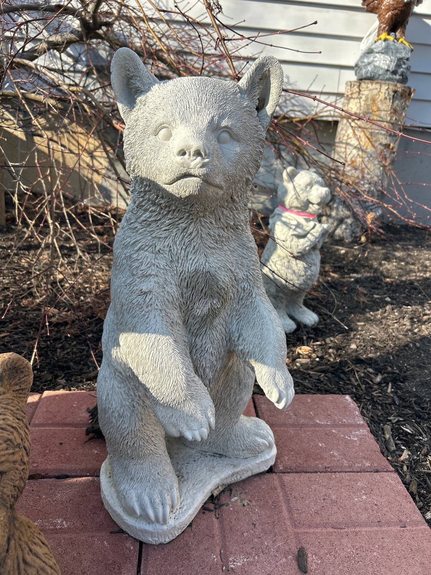Standing Cub