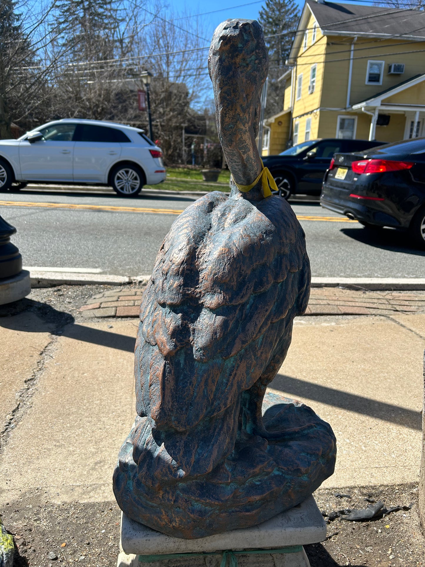Gus (pelican)