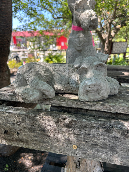 Sleeping Schnauzer Dog Statue