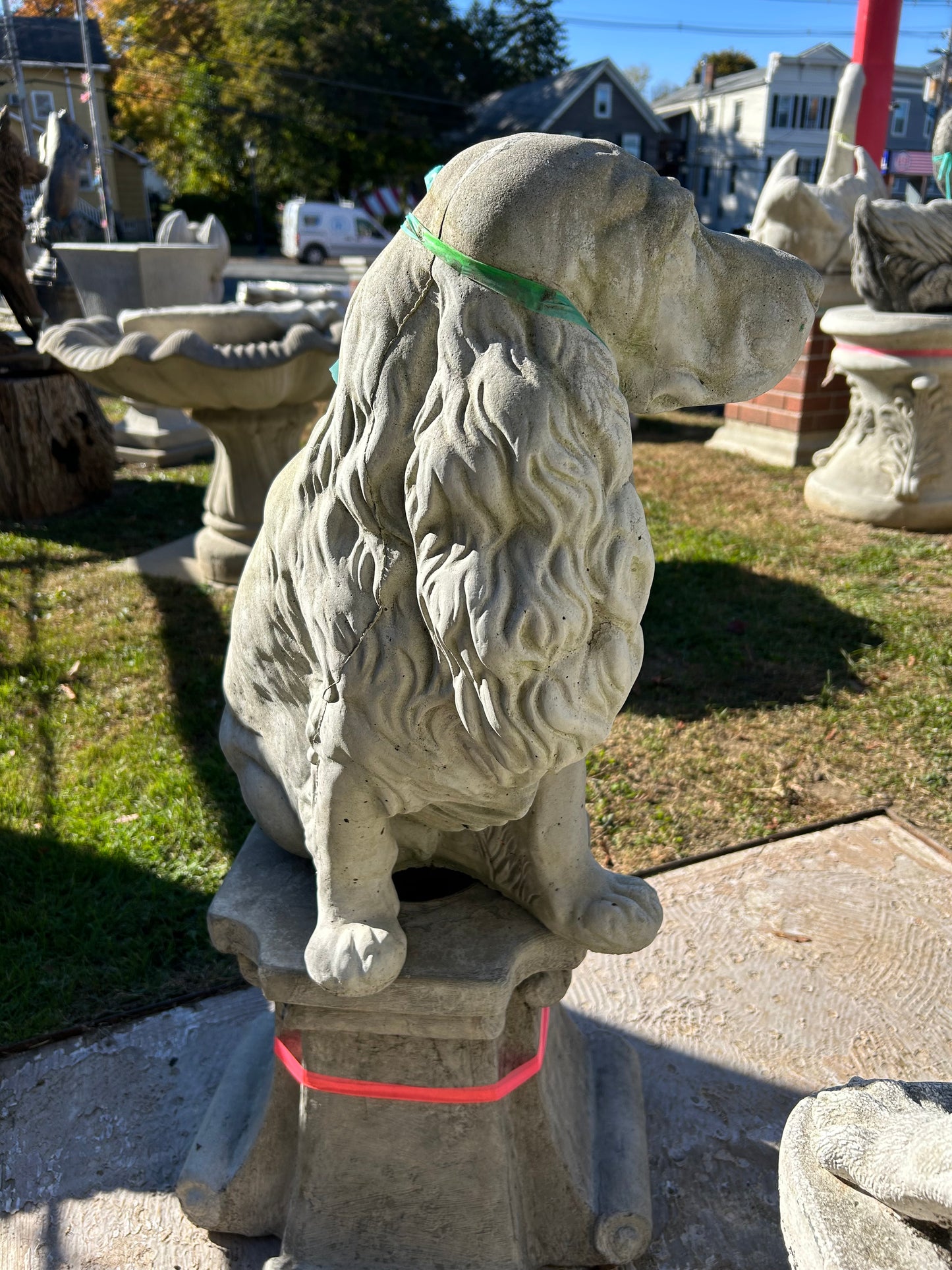 Large Sitting Cocker Spaniel