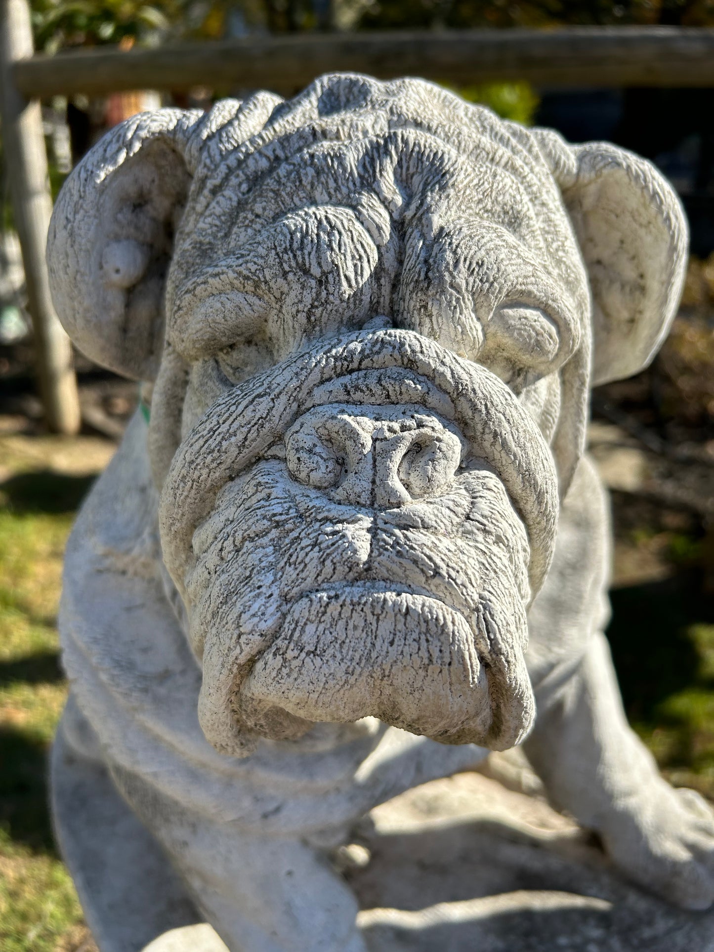 Large Sitting Bulldog