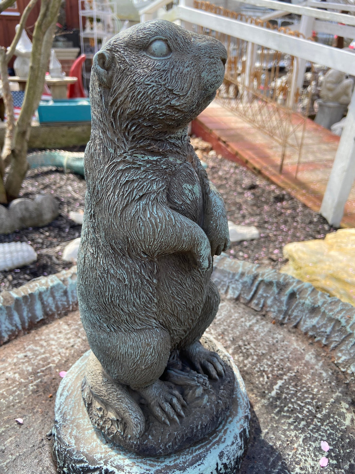 Prairie Dog