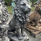 Estate Lion