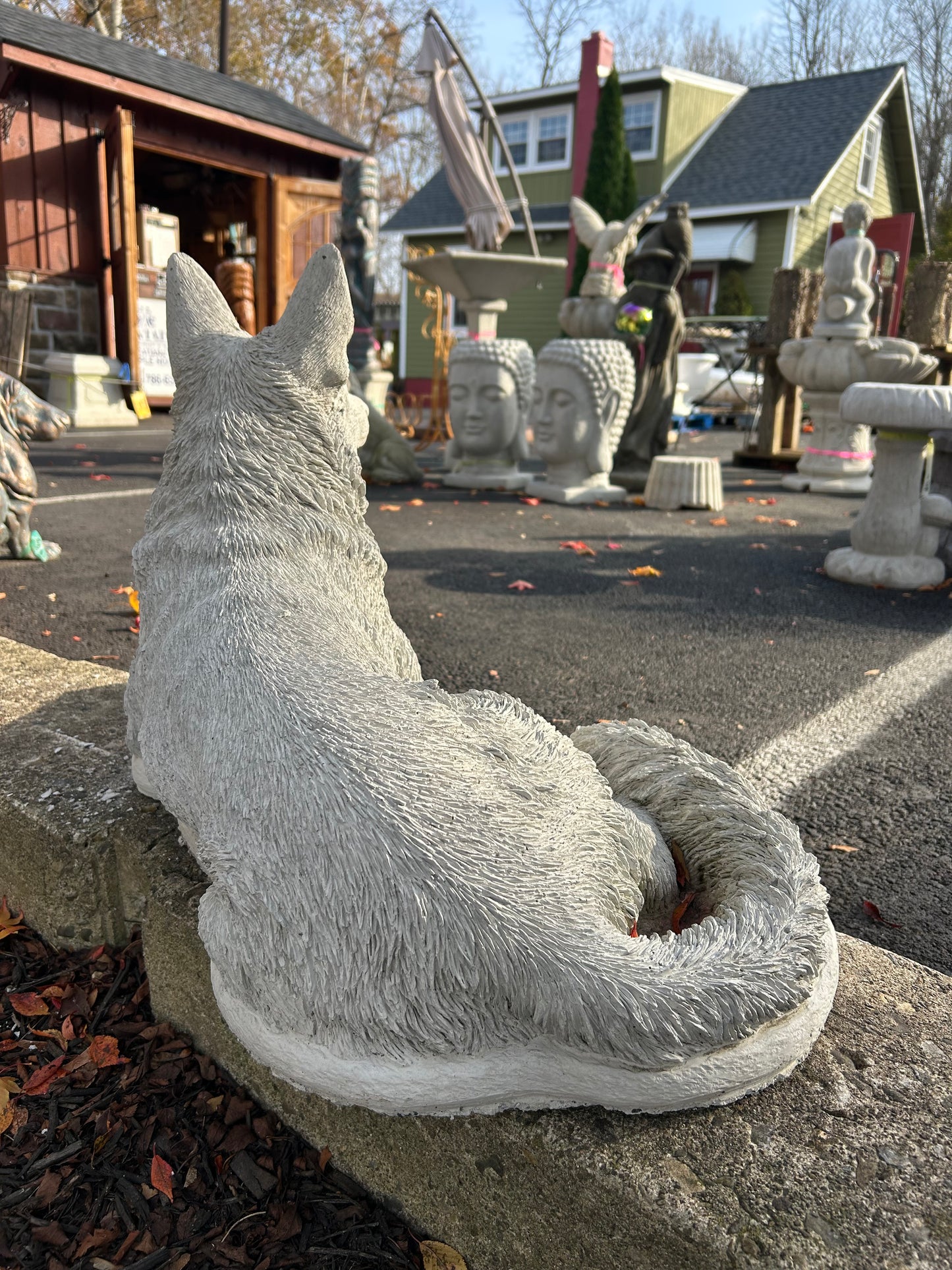 Large Laying German Shepard