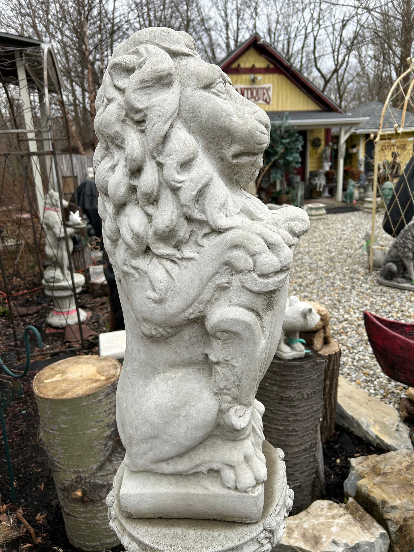 Lion on Shield