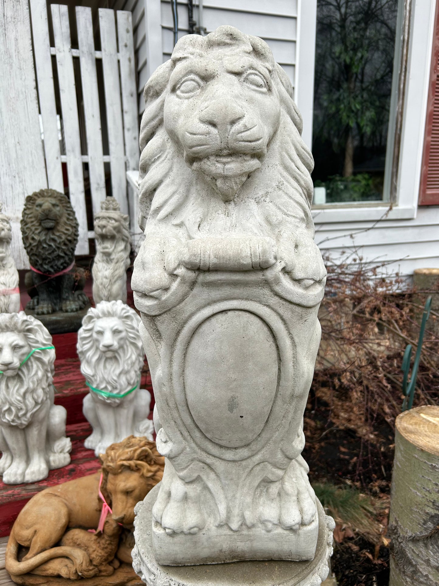 Lion on Shield