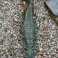 4' Large Alligator Statue