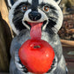 Raccoon with Apple
