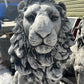 Estate Lion