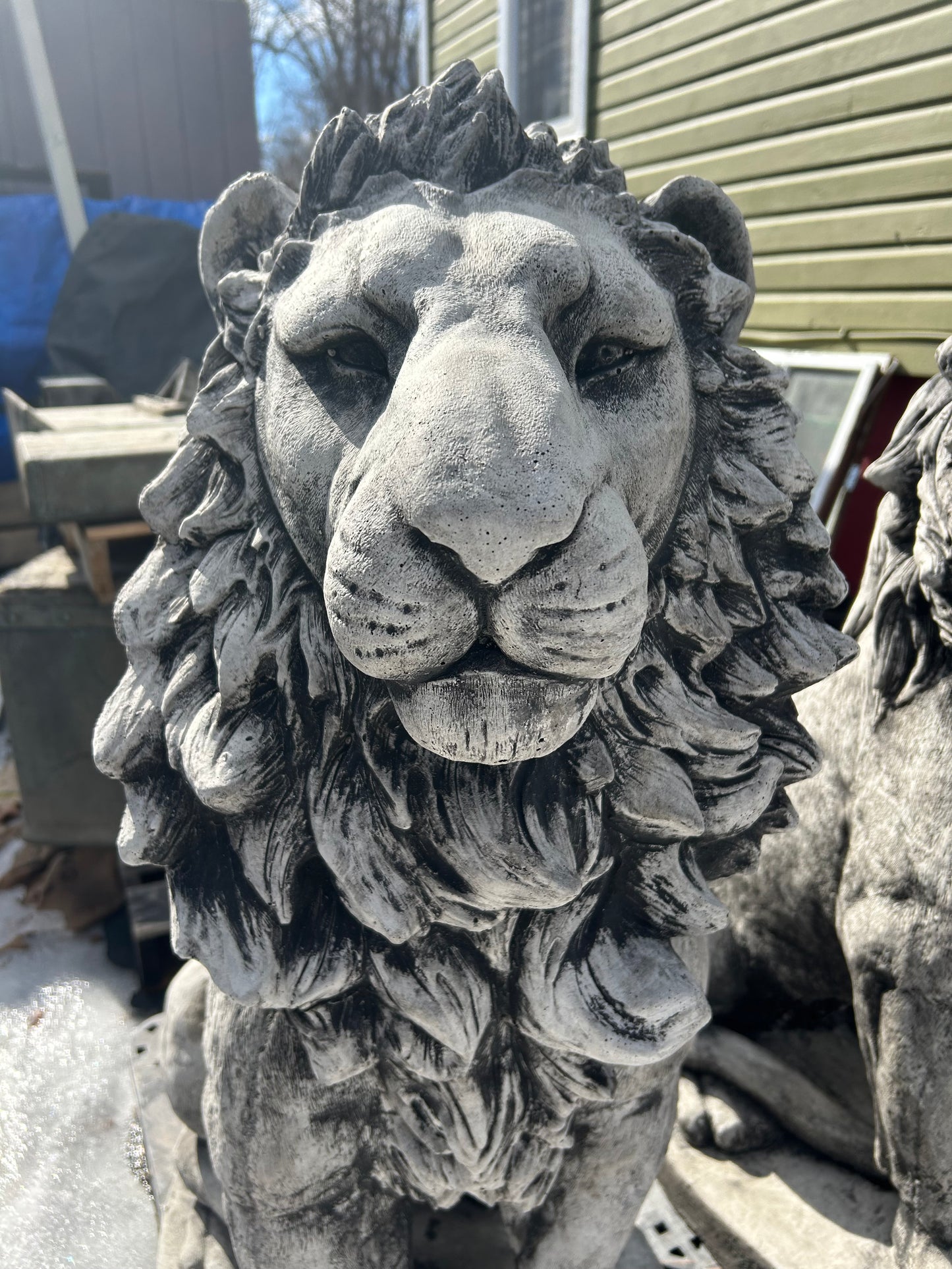 Estate Lion