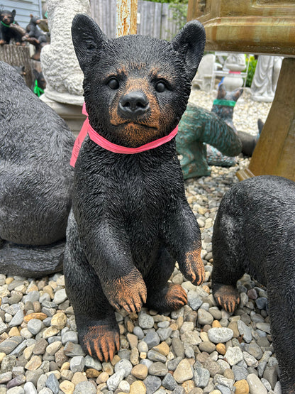 Standing Cub