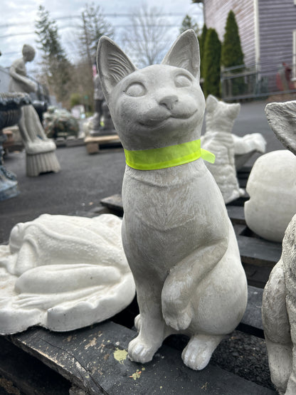 Cat Paw Up