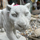 Panther
