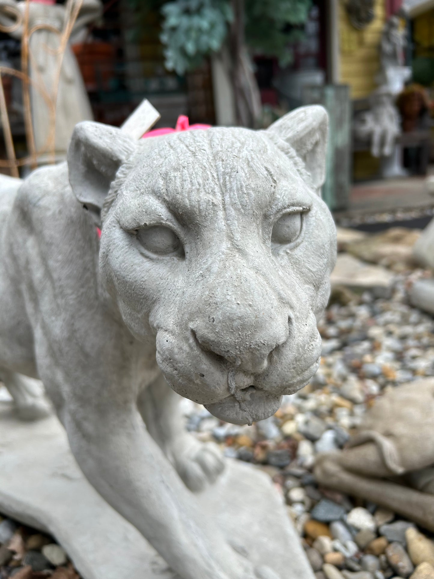Panther
