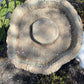 Log Birdbath