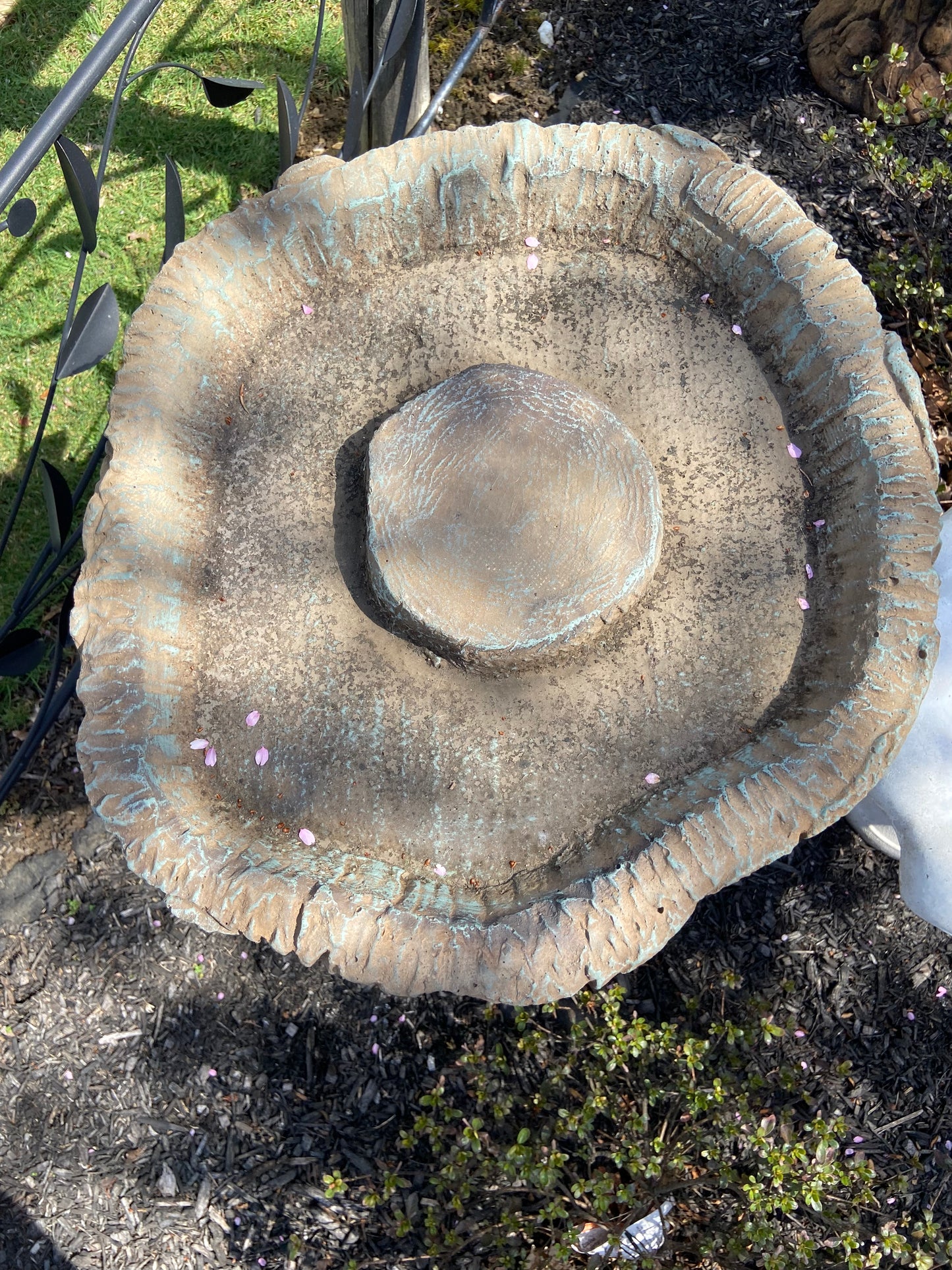 Log Birdbath