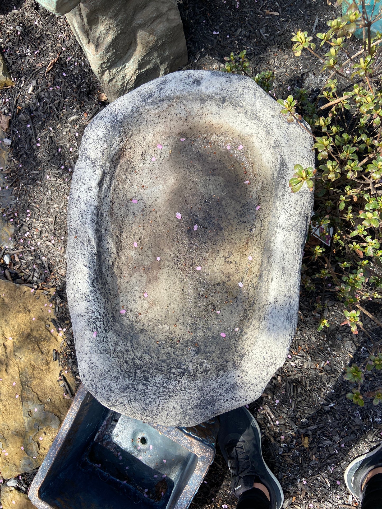 English Trough Birdbath