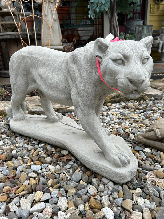Panther